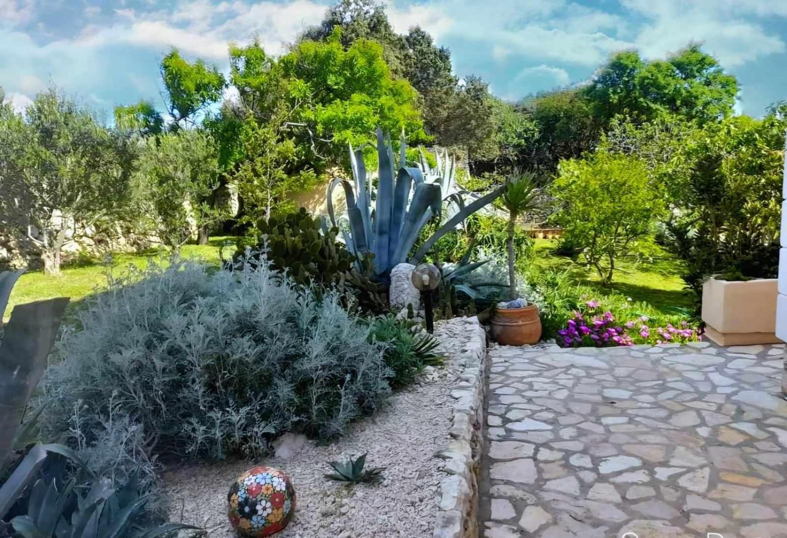Villa Cesarica 노바야 외부 사진