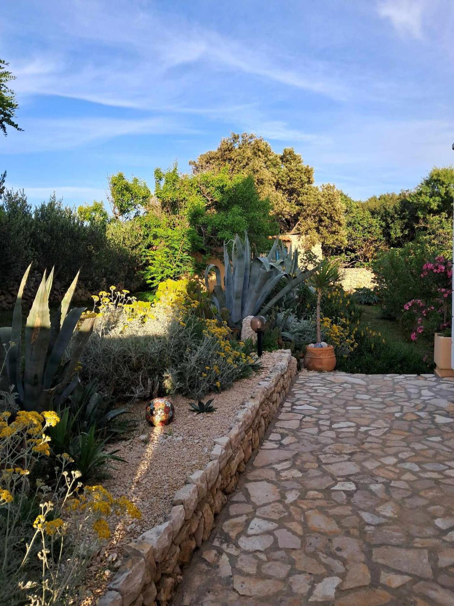 Villa Cesarica 노바야 외부 사진