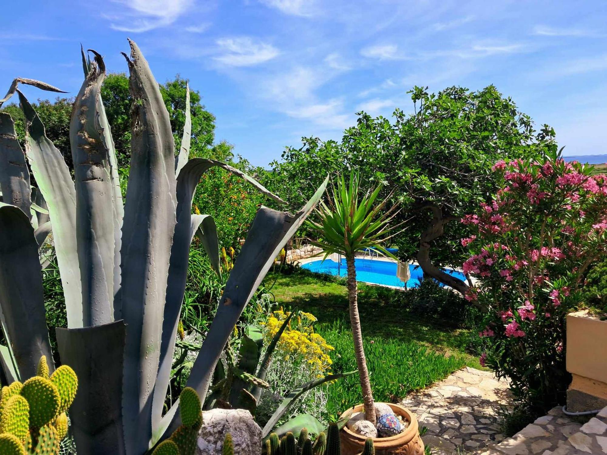 Villa Cesarica 노바야 외부 사진