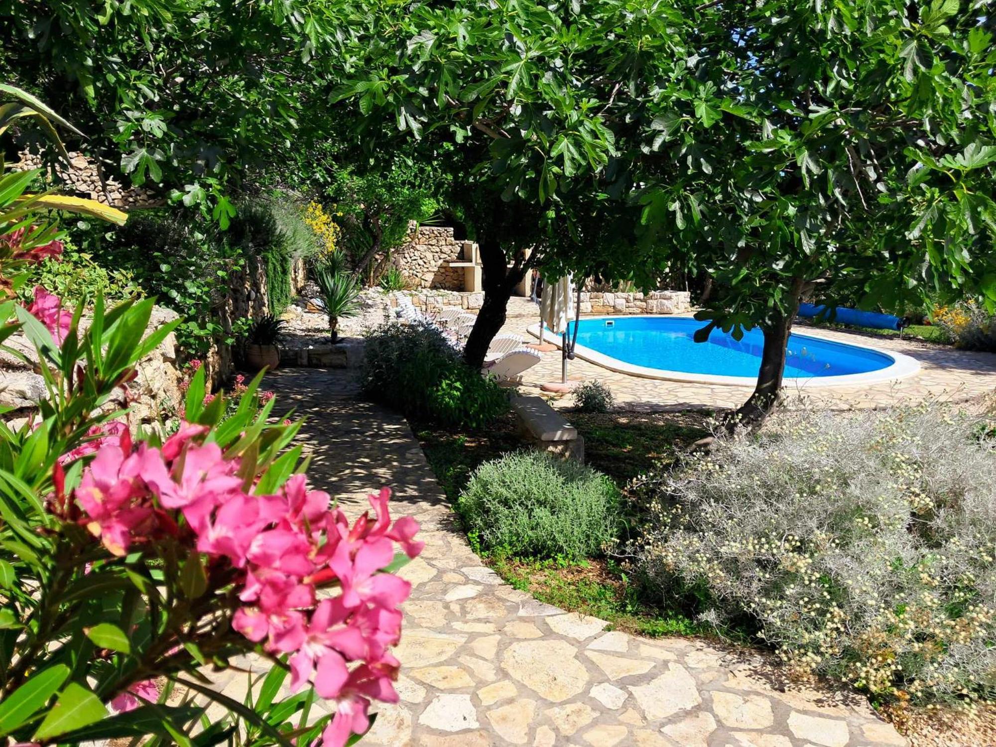 Villa Cesarica 노바야 외부 사진