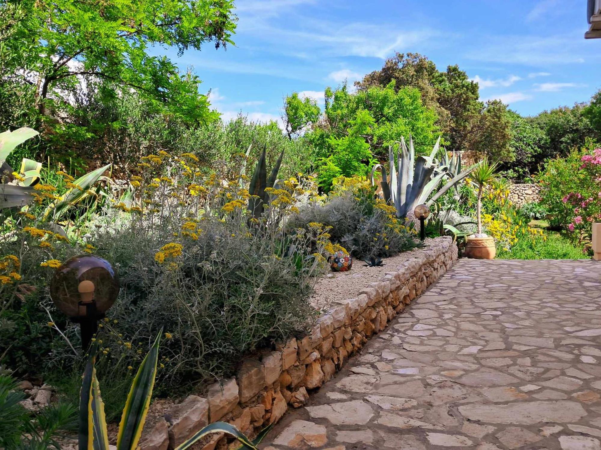 Villa Cesarica 노바야 외부 사진